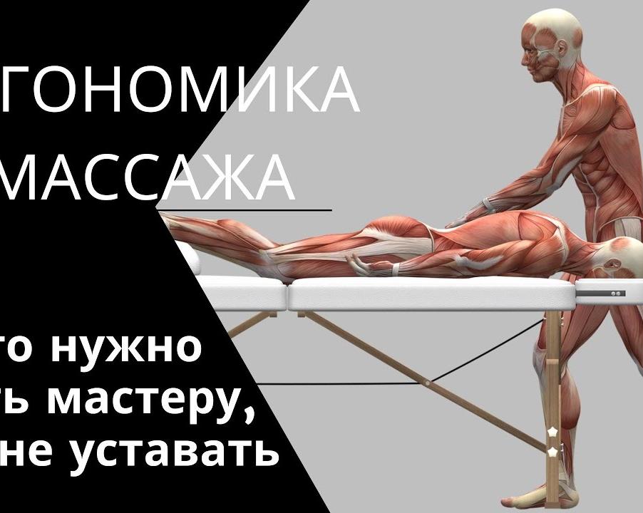 Эргономика на рабочем месте: как офисная мебель влияет на здоровье и продуктивность.