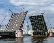 В Петербурге начали делать мебель из переработанных с помощью грибов отходов